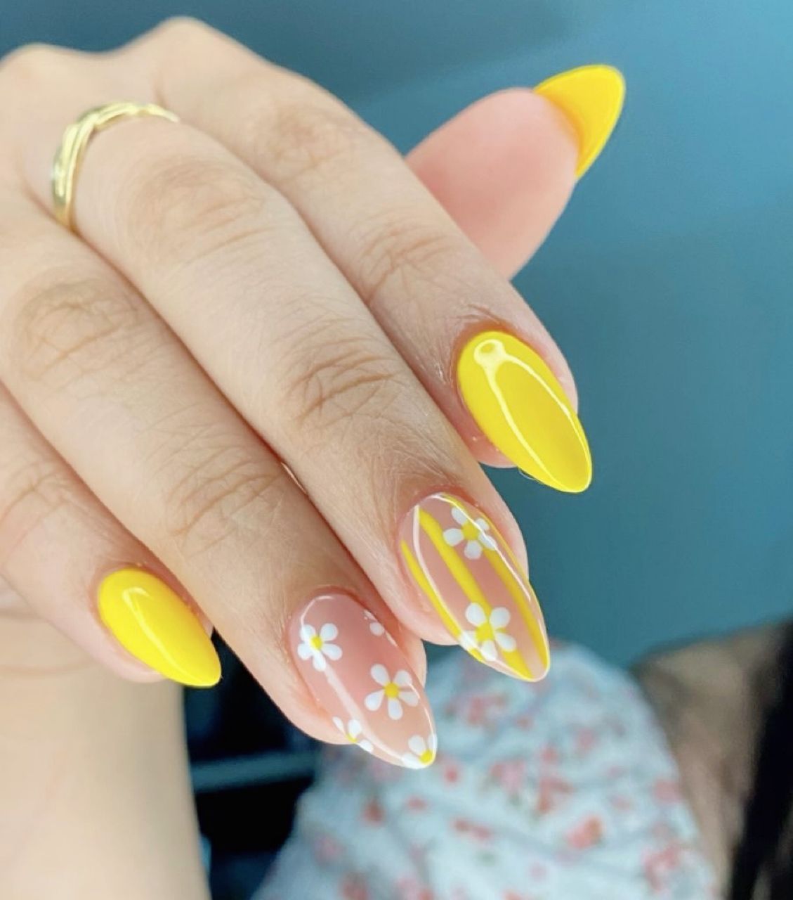 Geelilakkaus / Rakennekynnet